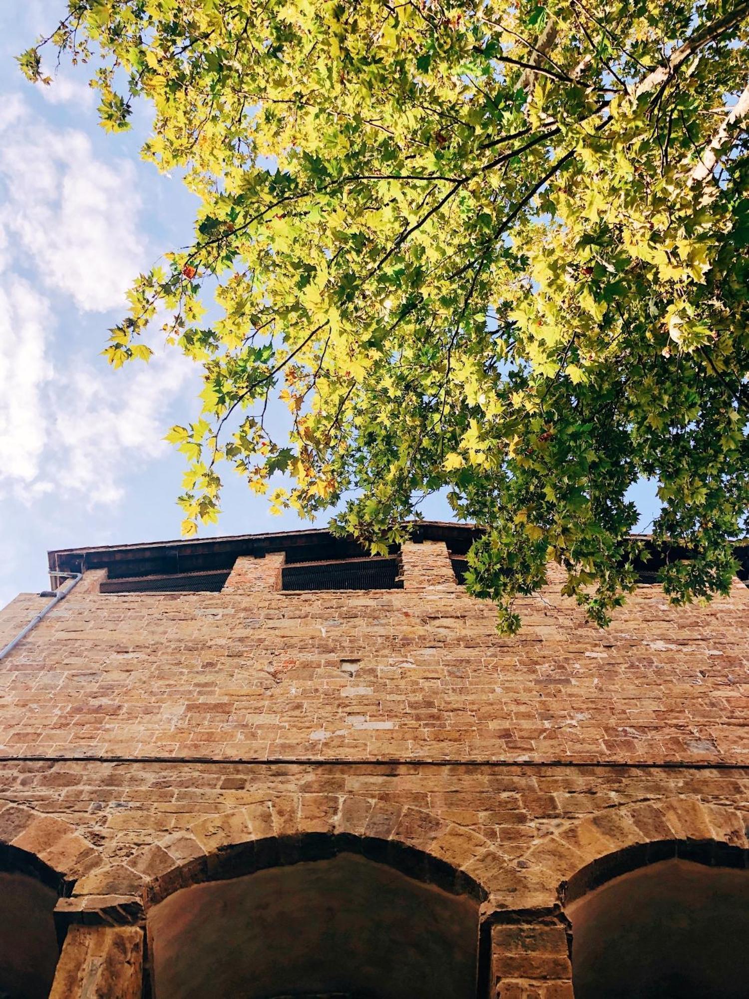 Appartamento D'Arte, L'Oasi Florencia Exterior foto